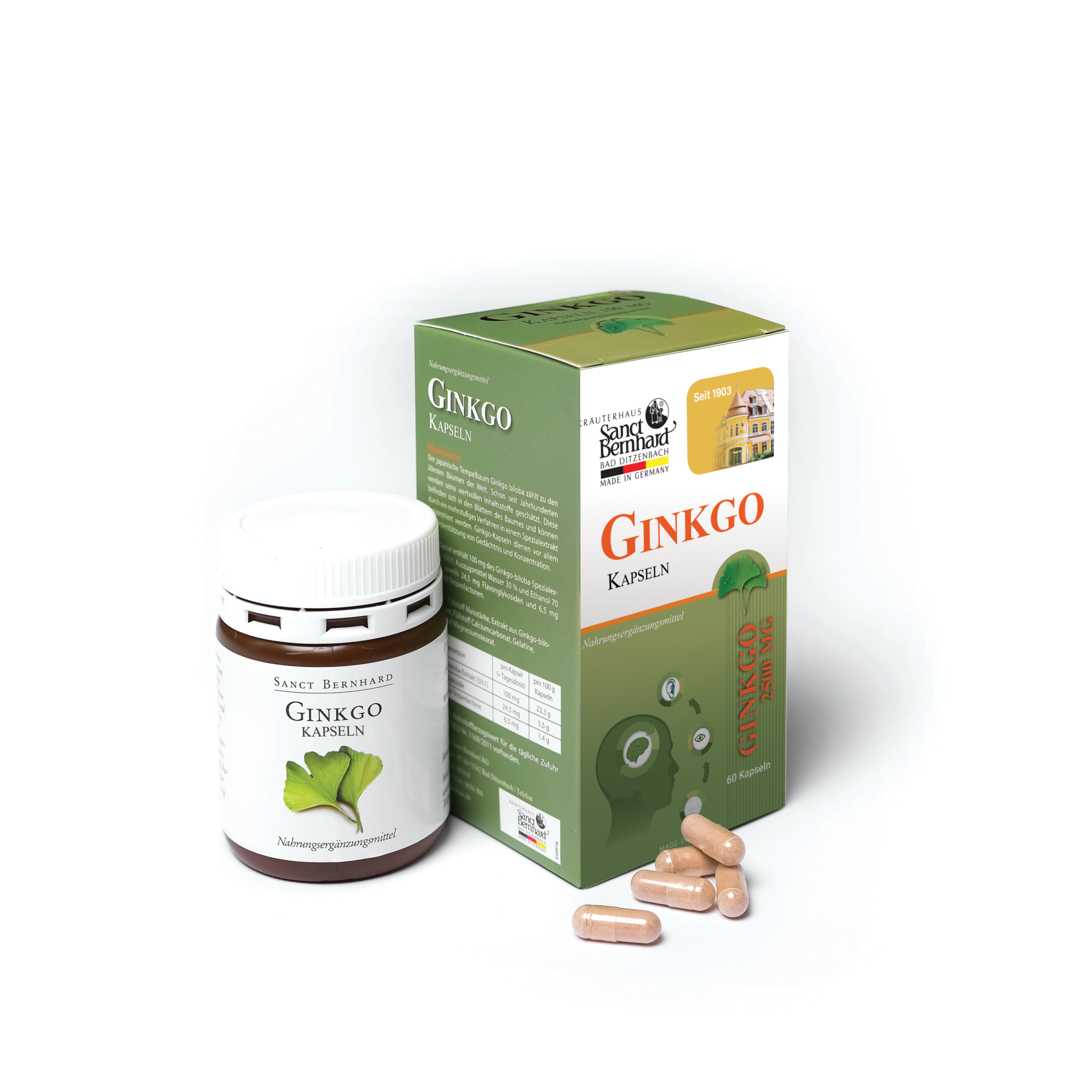 VIÊN UỐNG BỔ NÃO LÁ BẠCH QUẢ GINKGO KAPSELN